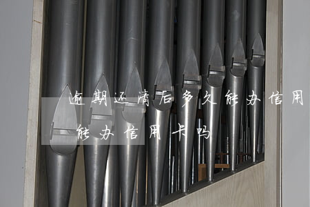逾期还清后多久能办信用卡（逾期但还清了还能办信用卡吗）