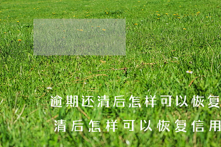 逾期还清后怎样可以恢复信用额度-逾期还清后怎样可以恢复信用额度呢