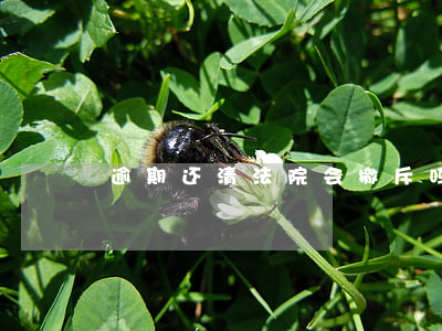 逾期还清法院会撤斥吗-逾期能撤销吗