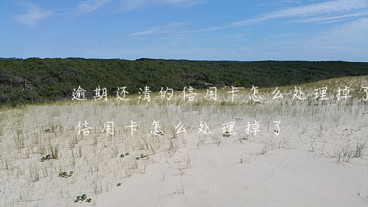 逾期还清的信用卡怎么处理掉了（逾期还清的信用卡怎么处理掉了）