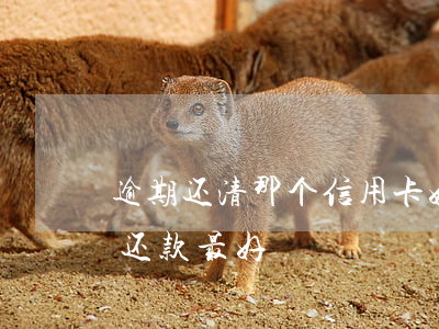 逾期还清那个信用卡好办(信用卡逾期了怎么还款最好)