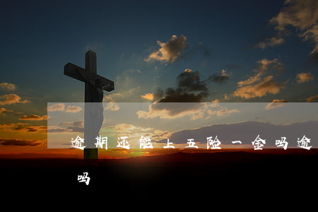 逾期还能上五险一金吗(逾期还能上五险一金吗)