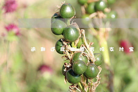 逾期还能住酒店吗（支付宝逾期还能定酒店吗）