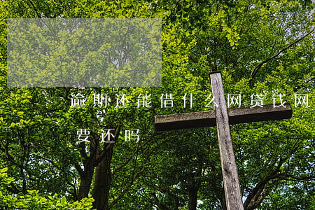 逾期还能借什么网贷钱(网贷逾期的逾期费用要还吗?)