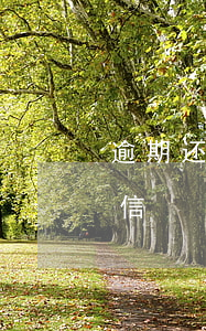 逾期还能恢复额度吗(逾期还能恢复额度吗微信)