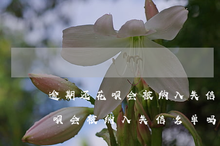 逾期还花呗会被纳入失信名单吗-逾期还花呗会被纳入失信名单吗知乎