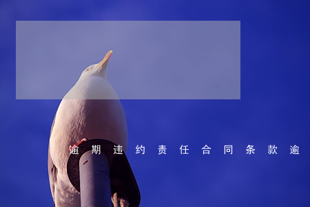 逾期违约责任合同条款（逾期违约责任）
