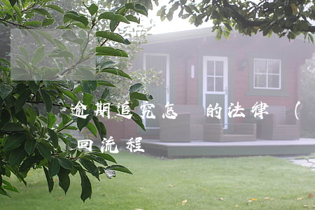 逾期追究怎樣的法律責(zé)任（逾期款追回流程）