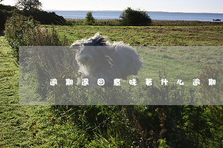 逾期退回意味著什么(逾期不予退還)