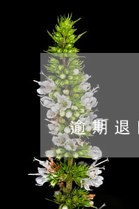 逾期退回拼音怎么写(逾期退回什么意思)