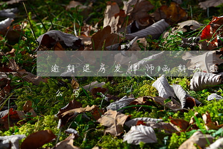逾期退房发律师函(期房逾期退房书面通知怎么写)