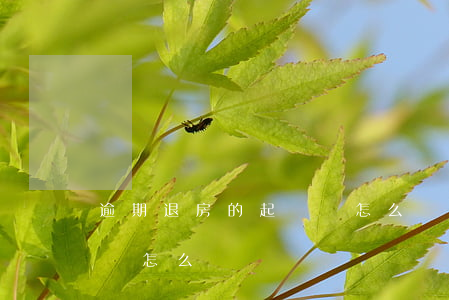 逾期退房的起訴書怎么寫(逾期交房退房申請書怎么寫)
