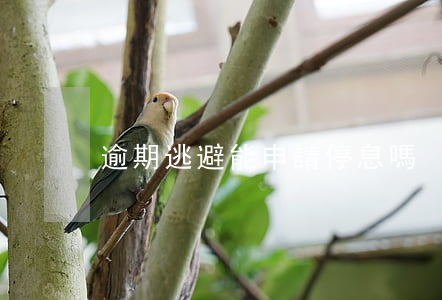 逾期逃避能申請停息嗎