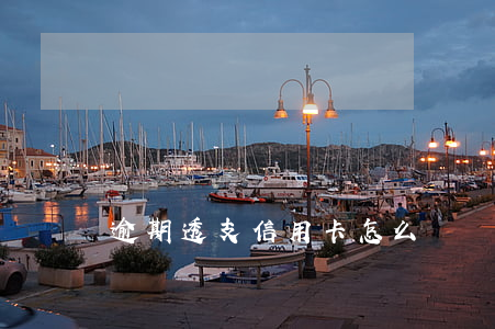 逾期透支信用卡怎么辦