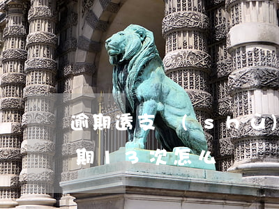 逾期透支數(shù)13可以貸款(房貸逾期13次怎么辦)