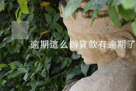 逾期這么辦 貸款有逾期了怎么辦