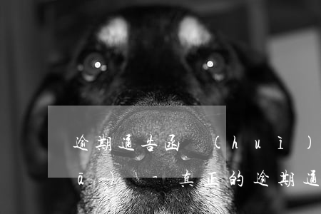 逾期通告函會(huì)以短信方式發(fā)嗎-真正的逾期通告函短信