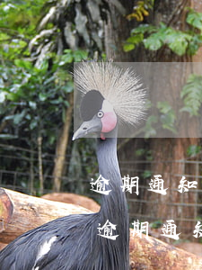 逾期通知函會以什么樣的形式發(fā)-逾期通知函有什么用