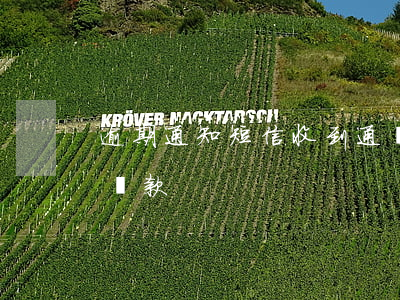 逾期通知短信（收到通報(bào)短信逾期還款）