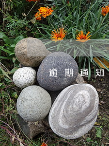 逾期通知说要起诉我(逾期通知说要起诉我)