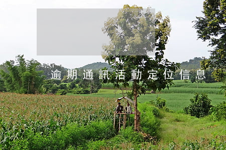 逾期通訊活動定位信息