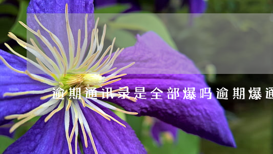 逾期通讯录是全部爆吗(逾期爆通讯录多久)