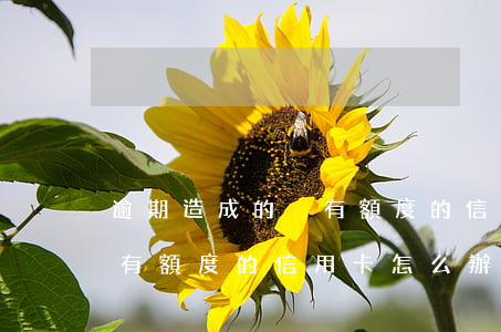 逾期造成的沒有額度的信用卡(逾期造成的沒有額度的信用卡怎么辦)