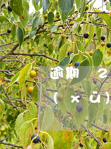 逾期連2可以申請(qǐng)貸款嗎(連續(xù)逾期三個(gè)月還能貸款嗎)