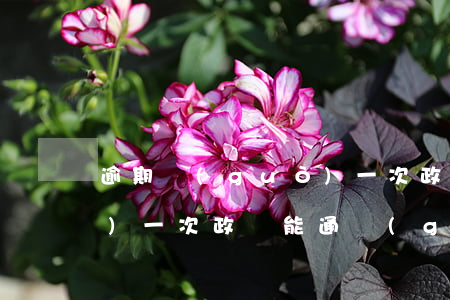 逾期過(guò)一次政審(逾期過(guò)一次政審能通過(guò)嗎)