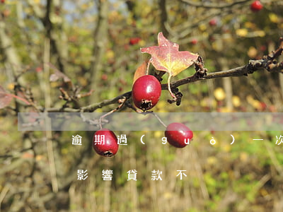 逾期過(guò)一次貸款不放貸(逾期一次影響貸款不)