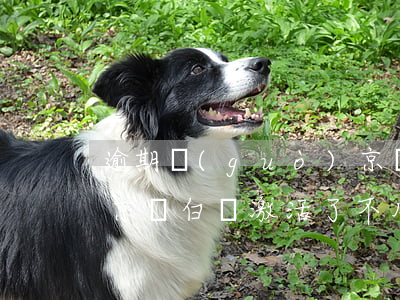 逾期過(guò)京東白條用不了怎么激活(京東白條激活了不用沒(méi)事吧)