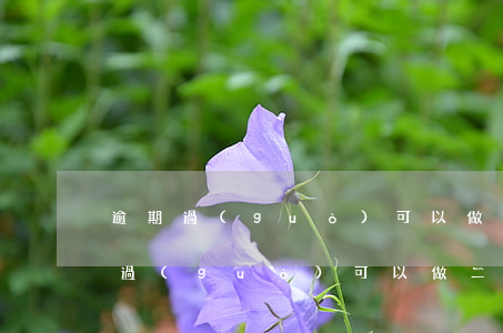 逾期過(guò)可以做二手車按揭嗎(逾期過(guò)可以做二手車按揭嗎)