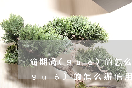 逾期過(guò)的怎么辦信用卡（逾期過(guò)的怎么辦信用卡）