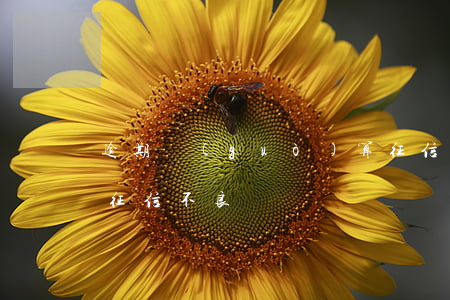 逾期過(guò)算征信黑了嗎(逾期算不算征信不良記錄)