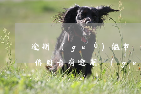 逾期過(guò)能申請(qǐng)哪些信用卡 有逾期過(guò)能申請(qǐng)信用卡嗎