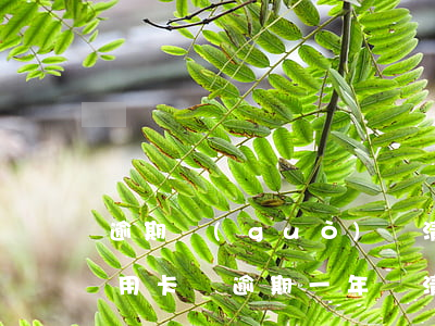 逾期過(guò)還清了后一年了還能辦信用卡嗎（逾期一年還清后可以申請(qǐng)信用卡嗎）