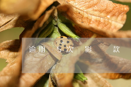 逾期過5次會影響貸款嗎
