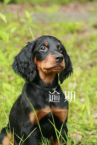 逾期過五年怎么征信還是有逾期-