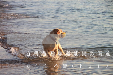 逾期過五年還能貸款嗎(逾期五年以后會(huì)不會(huì)影響貸款)