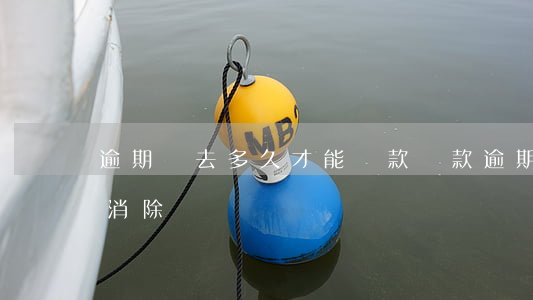 逾期過去多久才能貸款(貸款逾期幾年后可以消除)