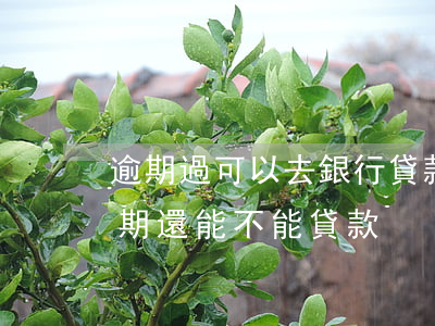 逾期過可以去銀行貸款嗎(銀行貸款有一次逾期還能不能貸款?)