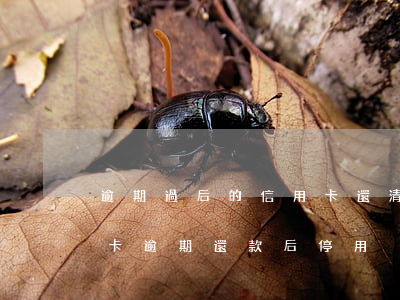逾期過后的信用卡還清后還可以使用么（信用卡逾期還款后停用）