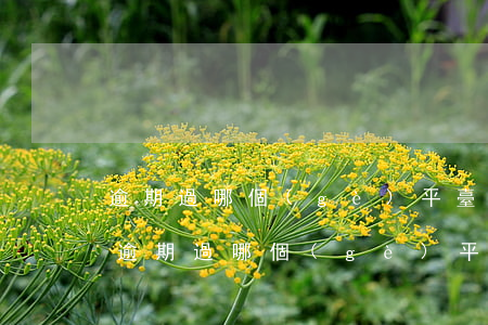 逾期過哪個(gè)平臺(tái)好貸款(逾期過哪個(gè)平臺(tái)好貸款)