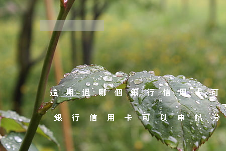 逾期過哪個銀行信用卡可以申請(逾期過哪個銀行信用卡可以申請分期)