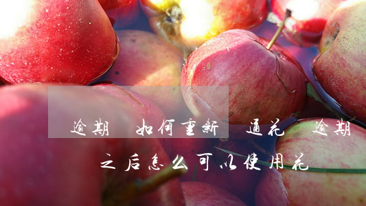 逾期過如何重新開通花唄(逾期還款花唄怎么樣之后怎么可以使用花唄)