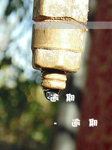 逾期過對申請政府補(bǔ)貼有沒有影響-逾期補(bǔ)償金怎么算法