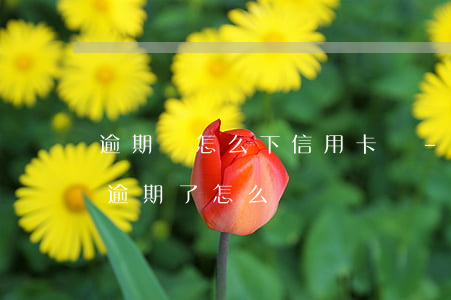 逾期過怎么下信用卡嗎-所有的貸款信用卡逾期了怎么辦