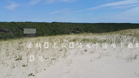 逾期過怎么辦信用卡（信用卡逾期上岸最好的辦法）