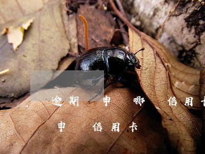 逾期過申請哪個信用卡成功(有過信用逾期能申請信用卡嗎)