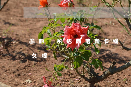逾期過的招商信用卡提額度(招商的信用卡多久提額)